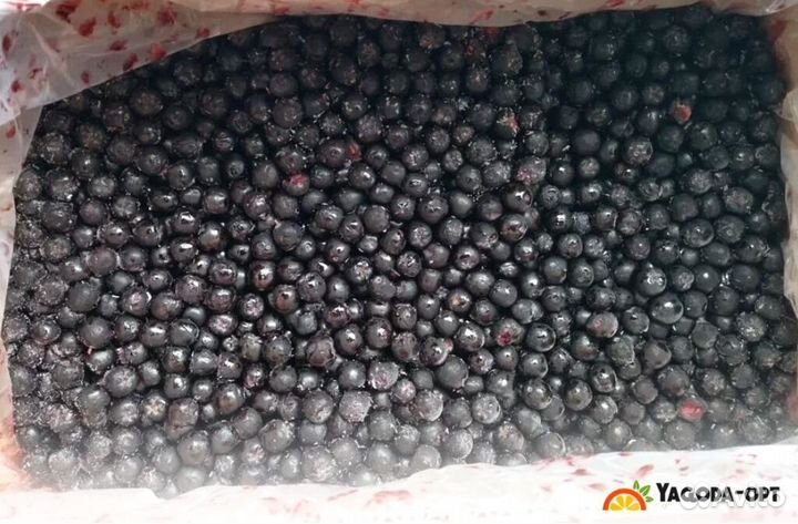 Черника замороженная крупный опт
