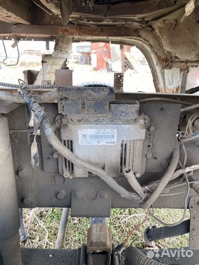 Баф феникс на разбор