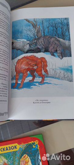 Коты воители книга 3,4