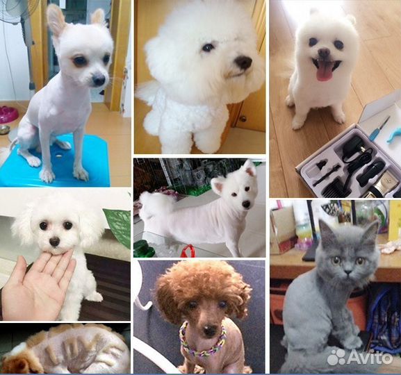 Машинка для стрижки собак/кошек BaoRun