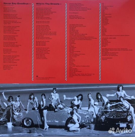 Виниловая пластинка Bon Jovi, Slippery When Wet (R