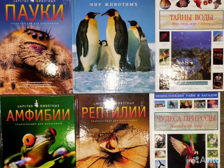 Энциклопедия