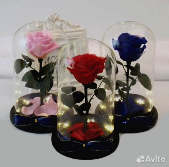 Роза в колбе. Стоит до 8 лет