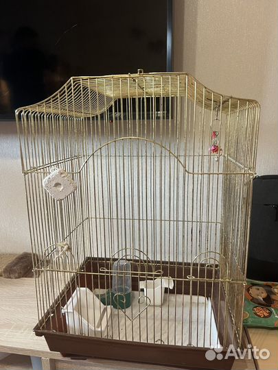 Клетка для попугая