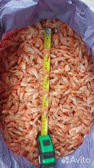 Креветки оптом