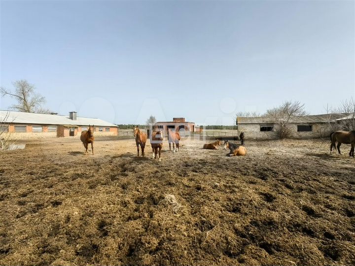 Участок 22 га (СНТ, ДНП)