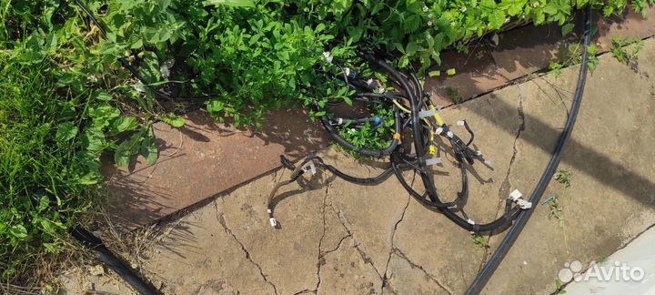 Проводка (коса) Lexus Is 250