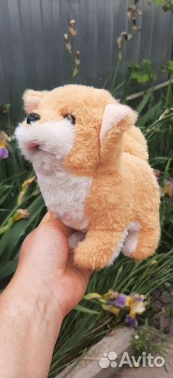 Интерактивная собака