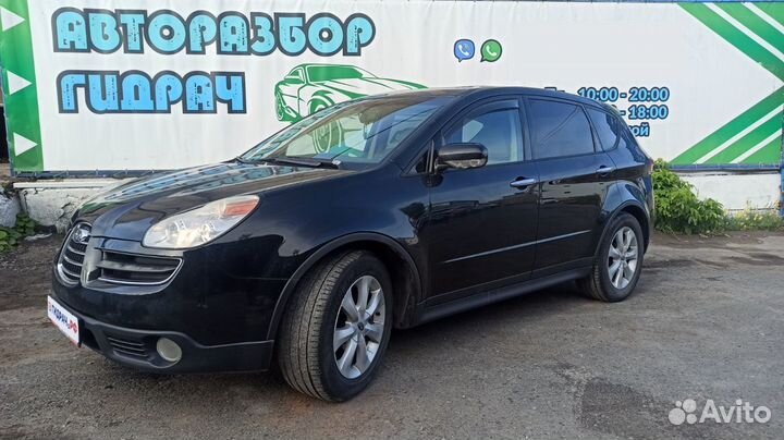 Петли двери задней правой Subaru Tribeca