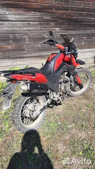 Fireguard 250 Trail