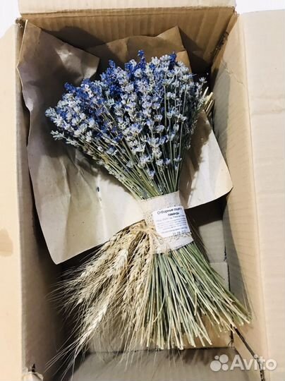 Букет лаванды сухоцвет