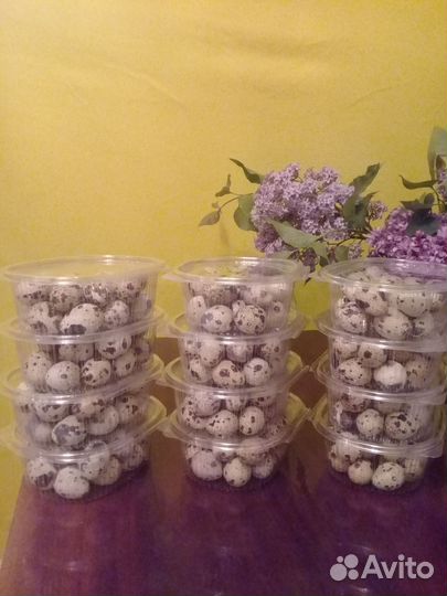 Яйцо перепелиное