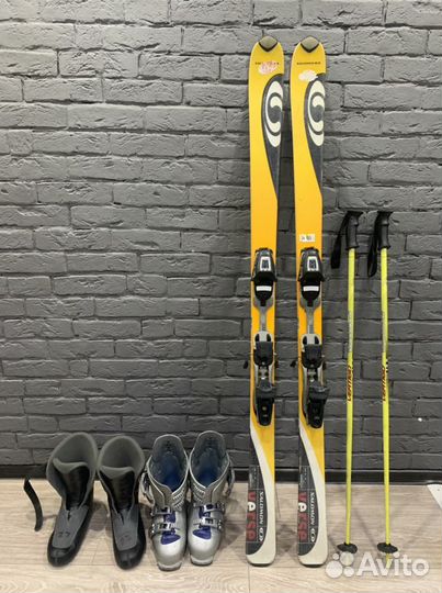 Горные лыжи