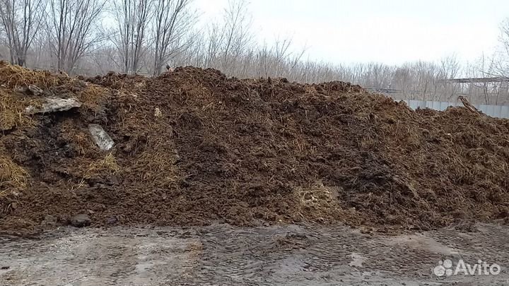 Навоз перегной говяжий телятины