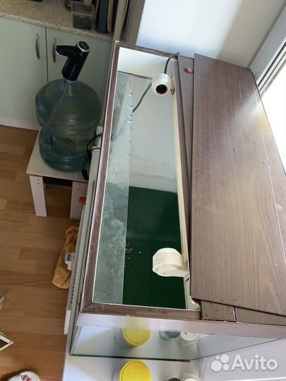 Террариум для рептилий бу