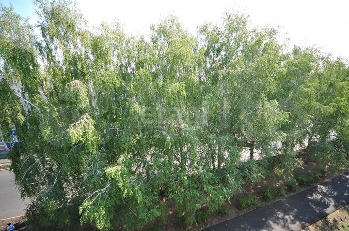 3-к. квартира, 59,4 м², 5/5 эт.