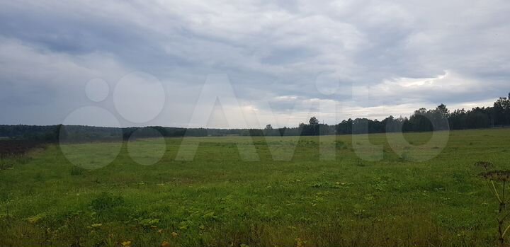 Участок 4,33 га (СНТ, ДНП)