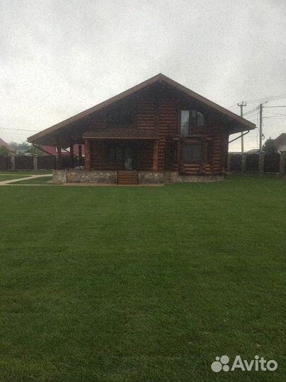 Рулонный газон/продажа/укладка