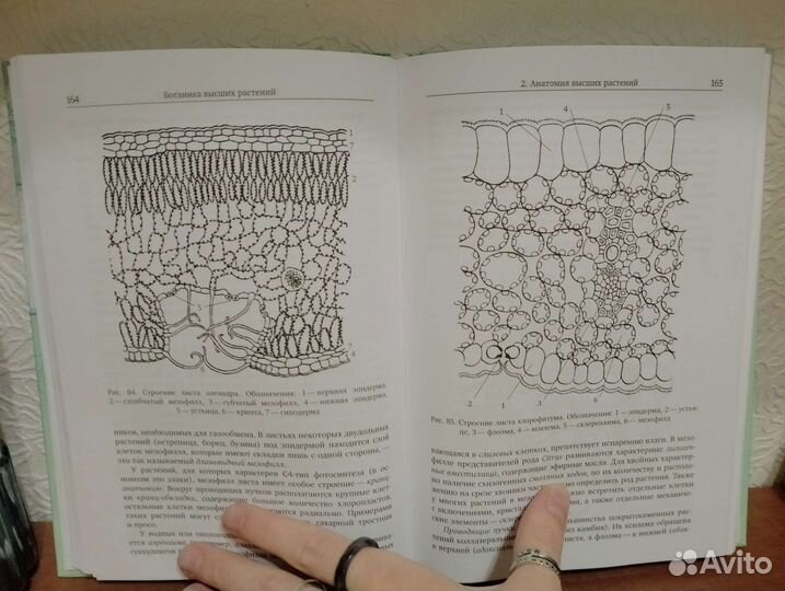 Практическая биология для олимпиадников