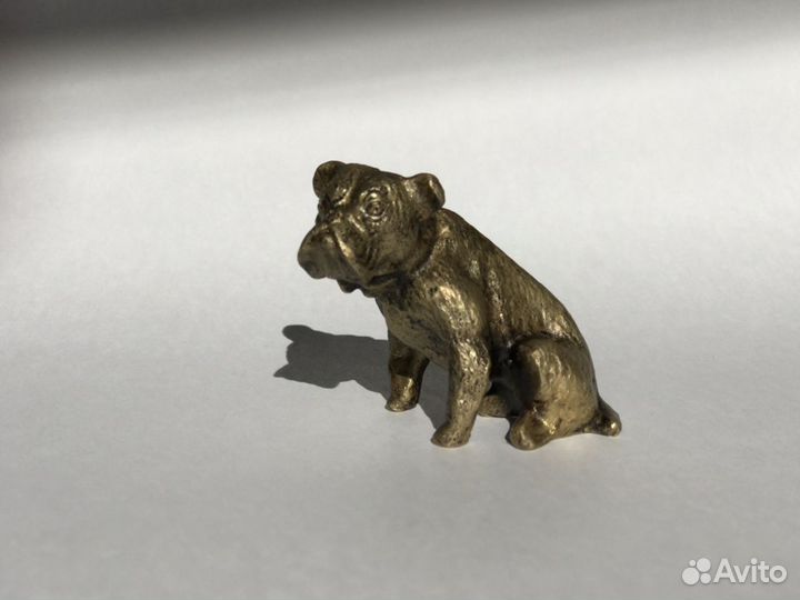 Собака Бронза