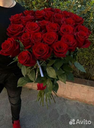 Высокие розы Гигантские розы Доставка цветов