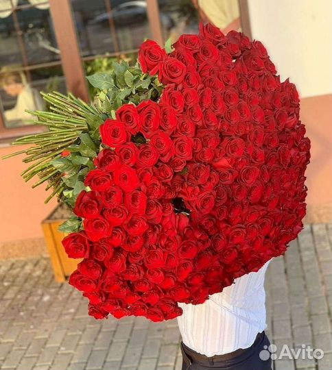 Розы гиганты 140 150 160 170 180 200