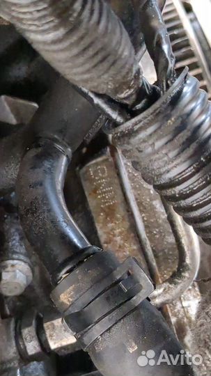 Двигатель Volkswagen Polo BNM 1.4 Дизель, 2008