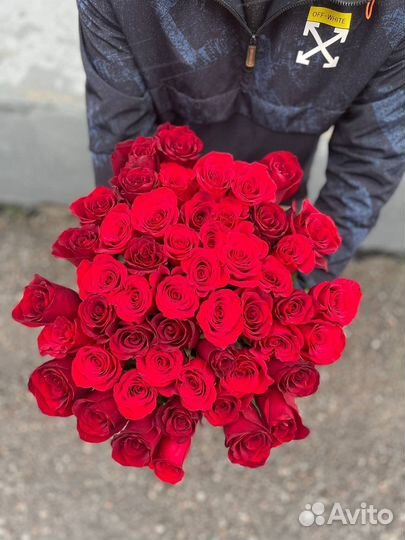 Розы эквадор от 25шт. Букеты на заказ