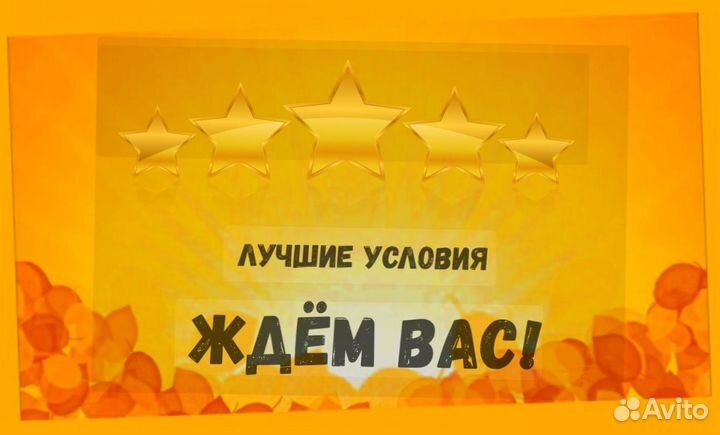 Наборщик заказов Без опыта Еженедельные выплаты