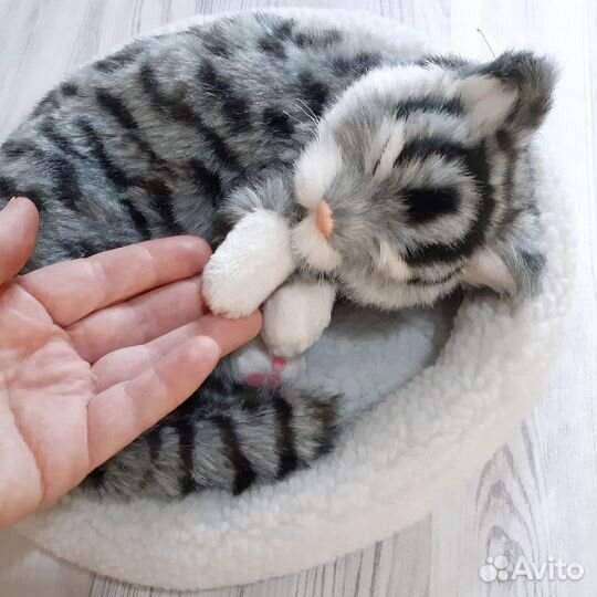 Игрушка Храпящий кот