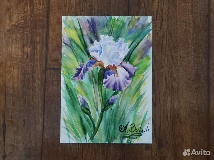 Картина акварель Ирис