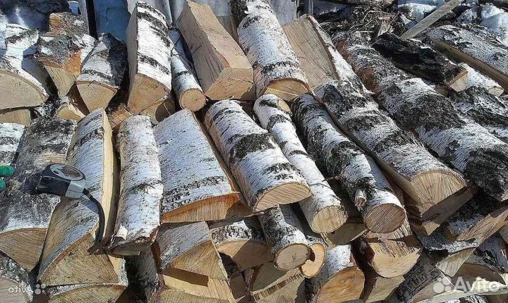 Дрова береза