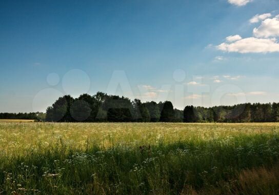 Участок 32 сот. (ИЖС)