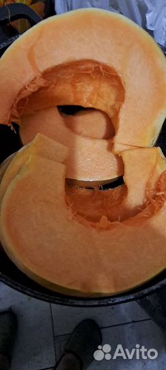 Тыква сладченная