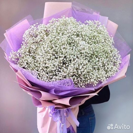 Гипсофила белая