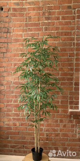 Бамбук искусственный