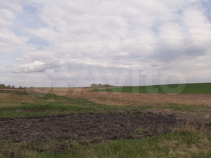 Участок 25 сот. (ИЖС)