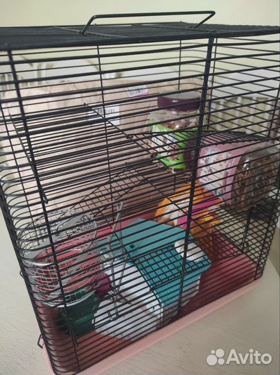 Клетка для джунгарского хомяка