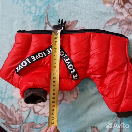 Зимний комбинезон и дождевик для маленькой собачки