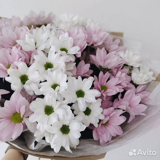Хризантема Букеты Цветы доставка Санкт-Петербург