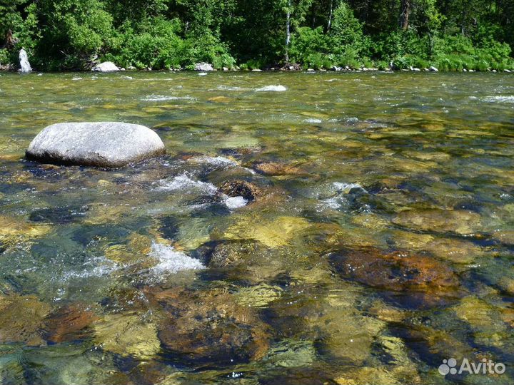 Семейный поход-рыбалка на Казыр