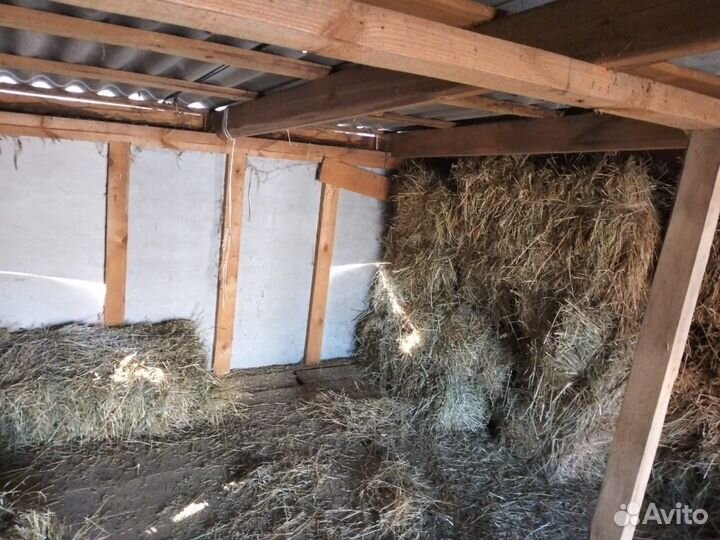 Сено в тюках