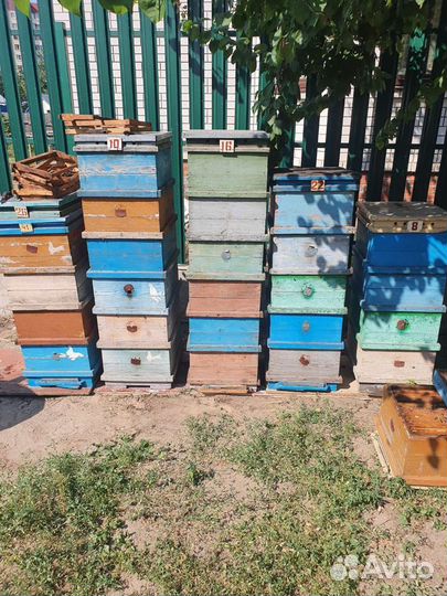 Улей для пчел
