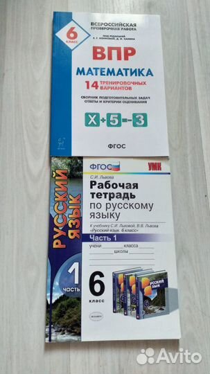 Рабочие тетради 6 класс