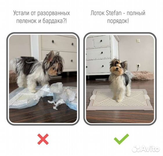 Лоток туалет для собак