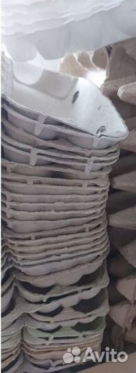 Упаковка для куриных яиц