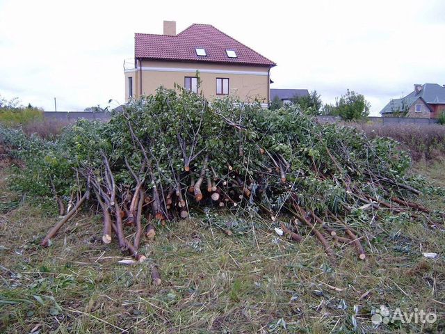 Спил деревьев любой сложности, расчистка участков