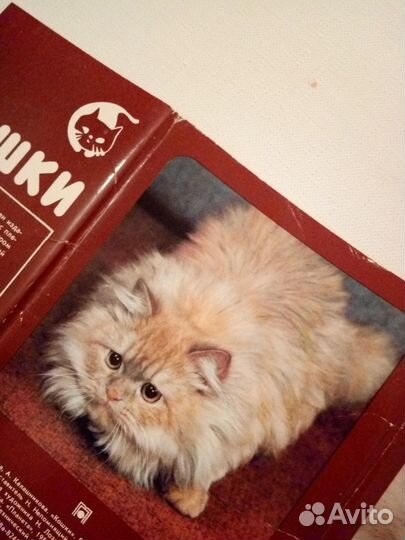 Винтажные открытки и календарики с котами