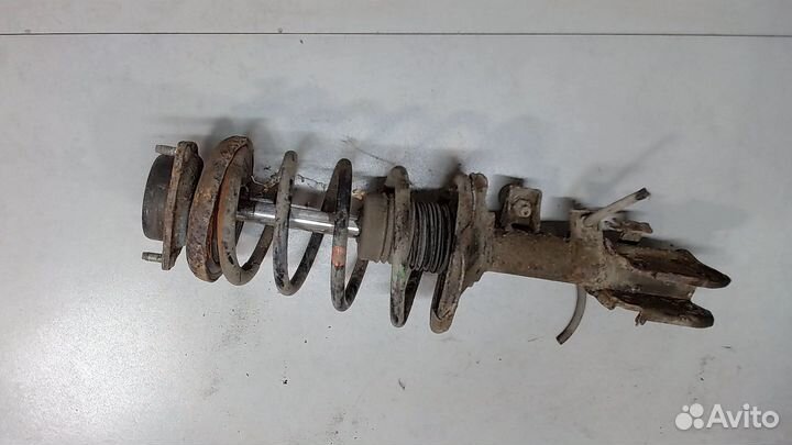 Амортизатор подвески Nissan Elgrand, 2000