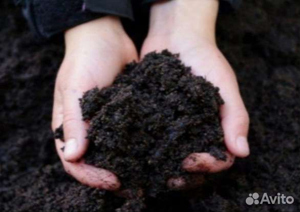 Чернозем земля плодородная с доставкой